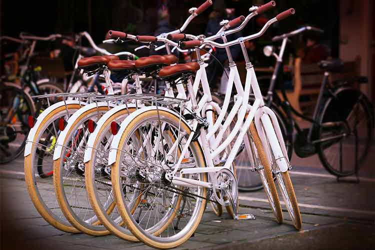 auto-buffing-machine-used-in-bike-industry-sector